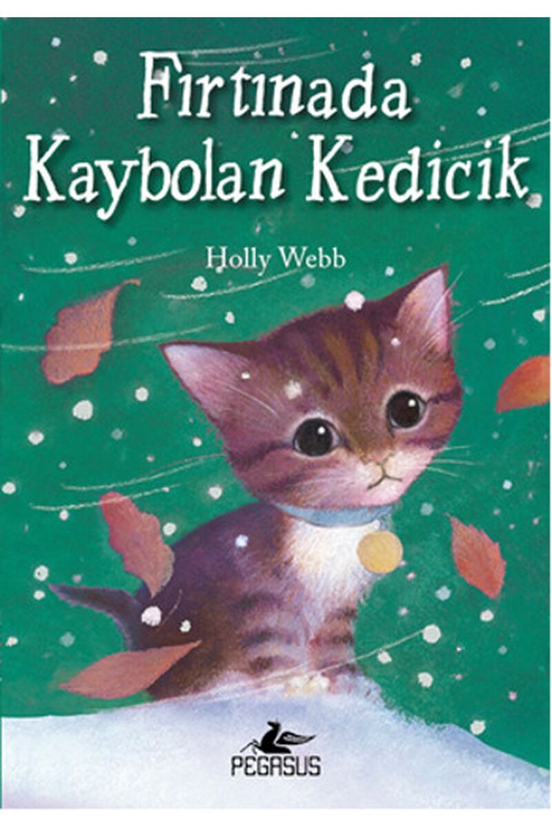 Fırtınada Kaybolan Kedicik, Clz - HOLLY WEBB