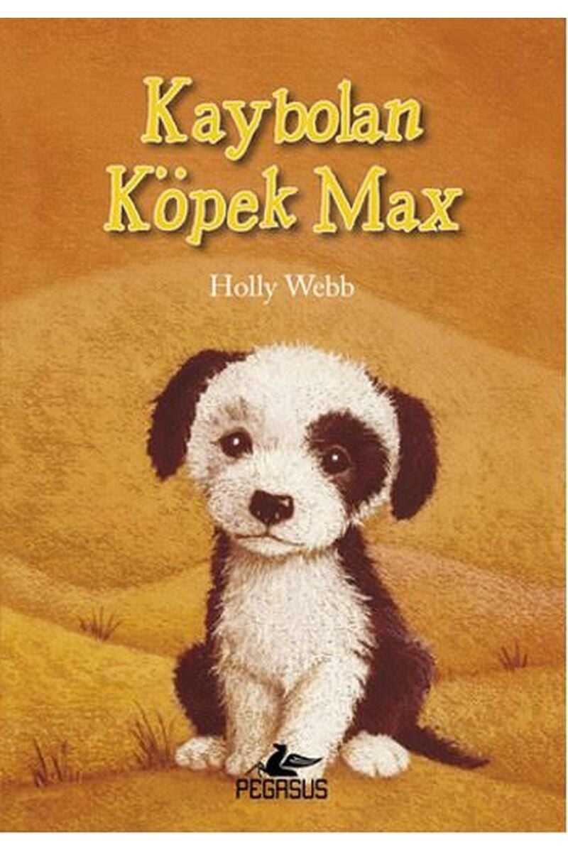 Kaybolan Köpek Max, Clz - HOLLY WEBB