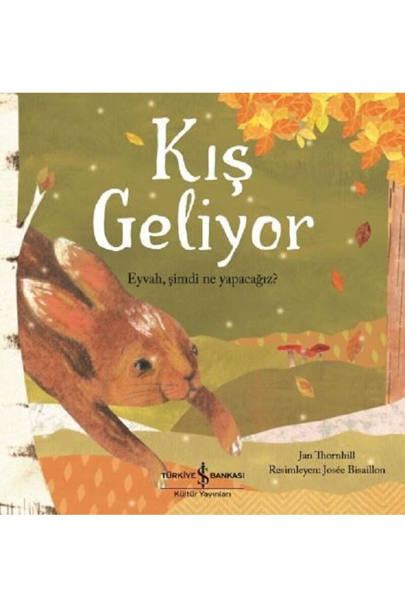 Kış Geliyor, Clz - JAN THORNHILL