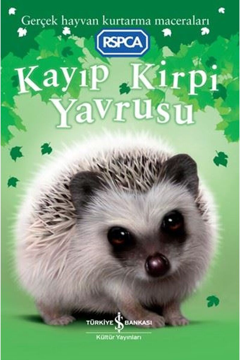 Kayıp Kirpi Yavrusu-Gerçek Hayvan K, Clz - JILL HUCKLESBY