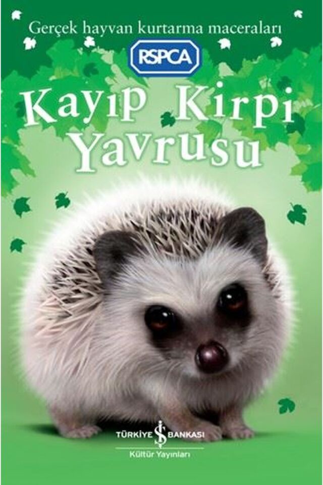 Kayıp Kirpi Yavrusu-Gerçek Hayvan K, Clz - JILL HUCKLESBY