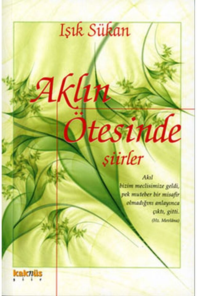 Aklın Ötesinde Şiirler, Clz - IŞIK SÜKAN