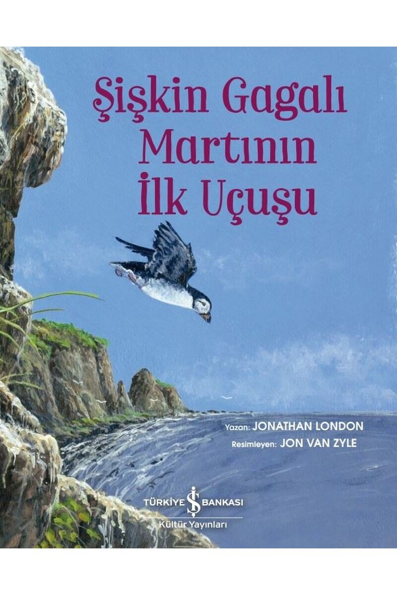 Şişkin Gagalı Martının İlk Uçuşu, Clz - JONATHAN LONDON