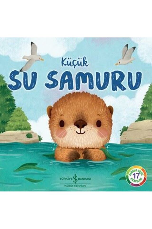 Küçük Su Samuru-Doğanın Eşsiz Hikay, Clz - ROSE HARKNESS