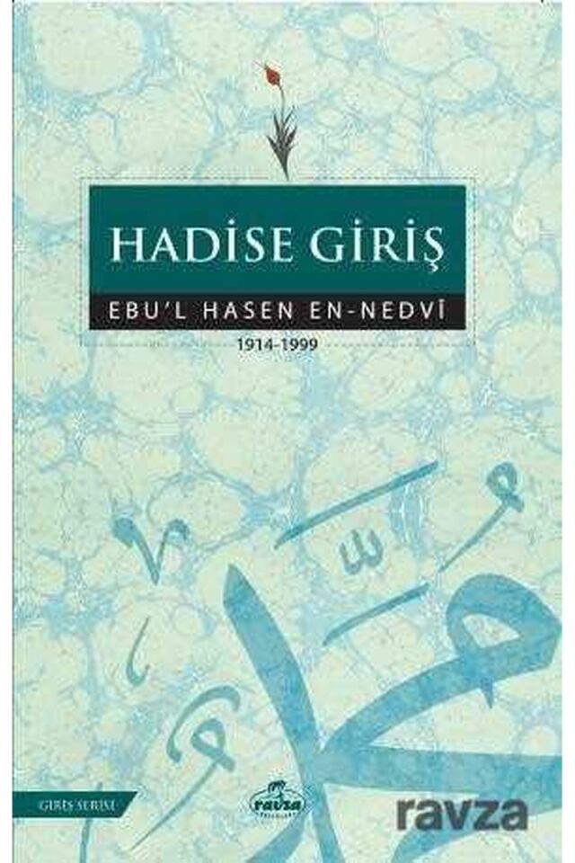Hadise Giriş
