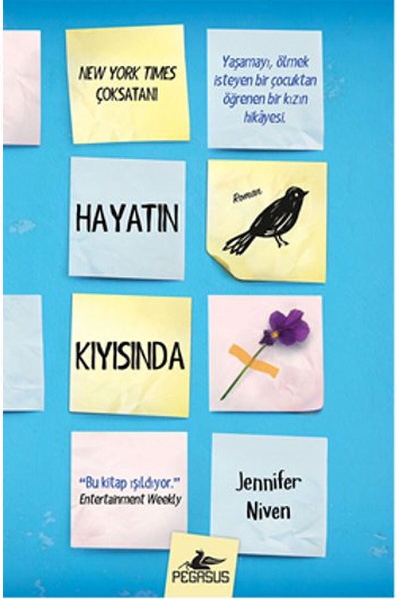 Hayatın Kıyısında, Clt - BEGÜM BERKMAN PADAR