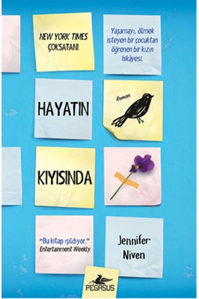 Hayatın Kıyısında, Clt - BEGÜM BERKMAN PADAR