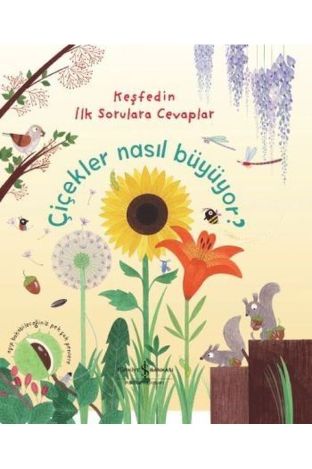 Çiçekler Nasıl Büyüyor?, Clt - KATIE DAYNES