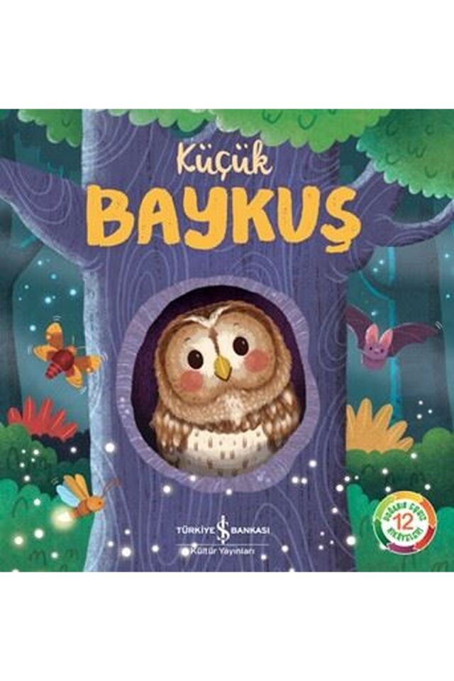Küçük Baykuş, Clz - KATIE TAYLOR