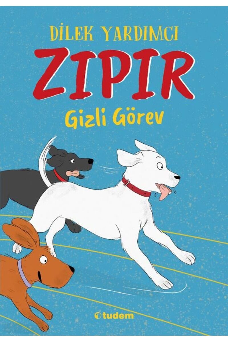 Zıpır Gizli Görev, Clz - DILEK YARDIMCI