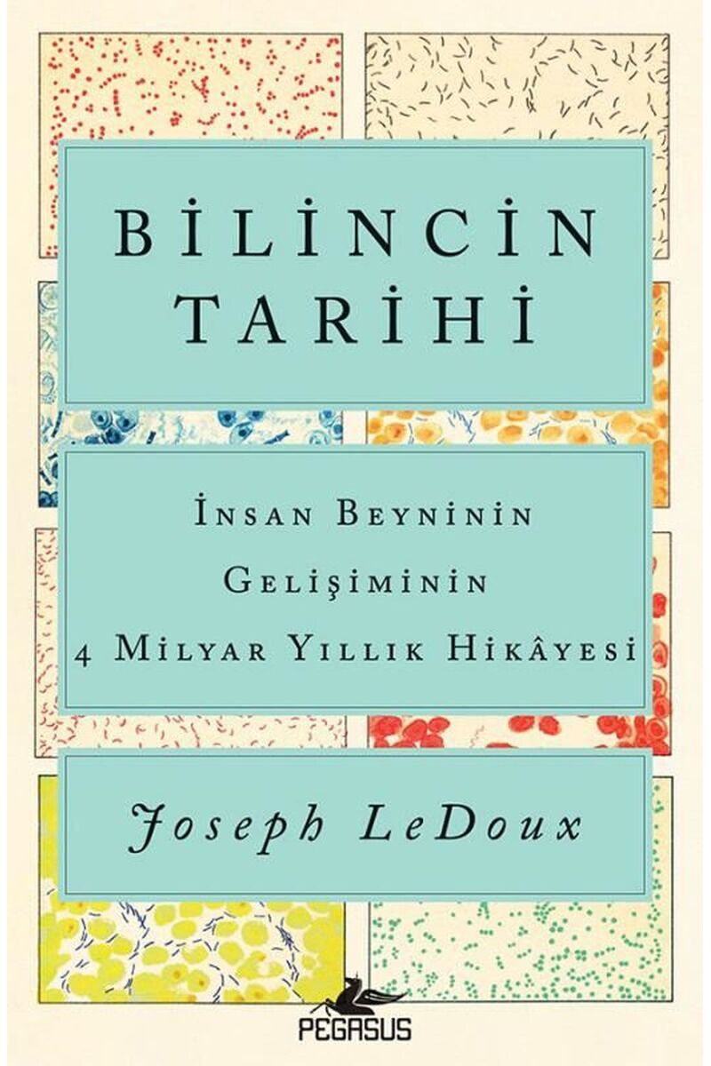 Bilincin Tarihi: İnsan Beyninin Gel, Clz - JOSEPH LEDOUX