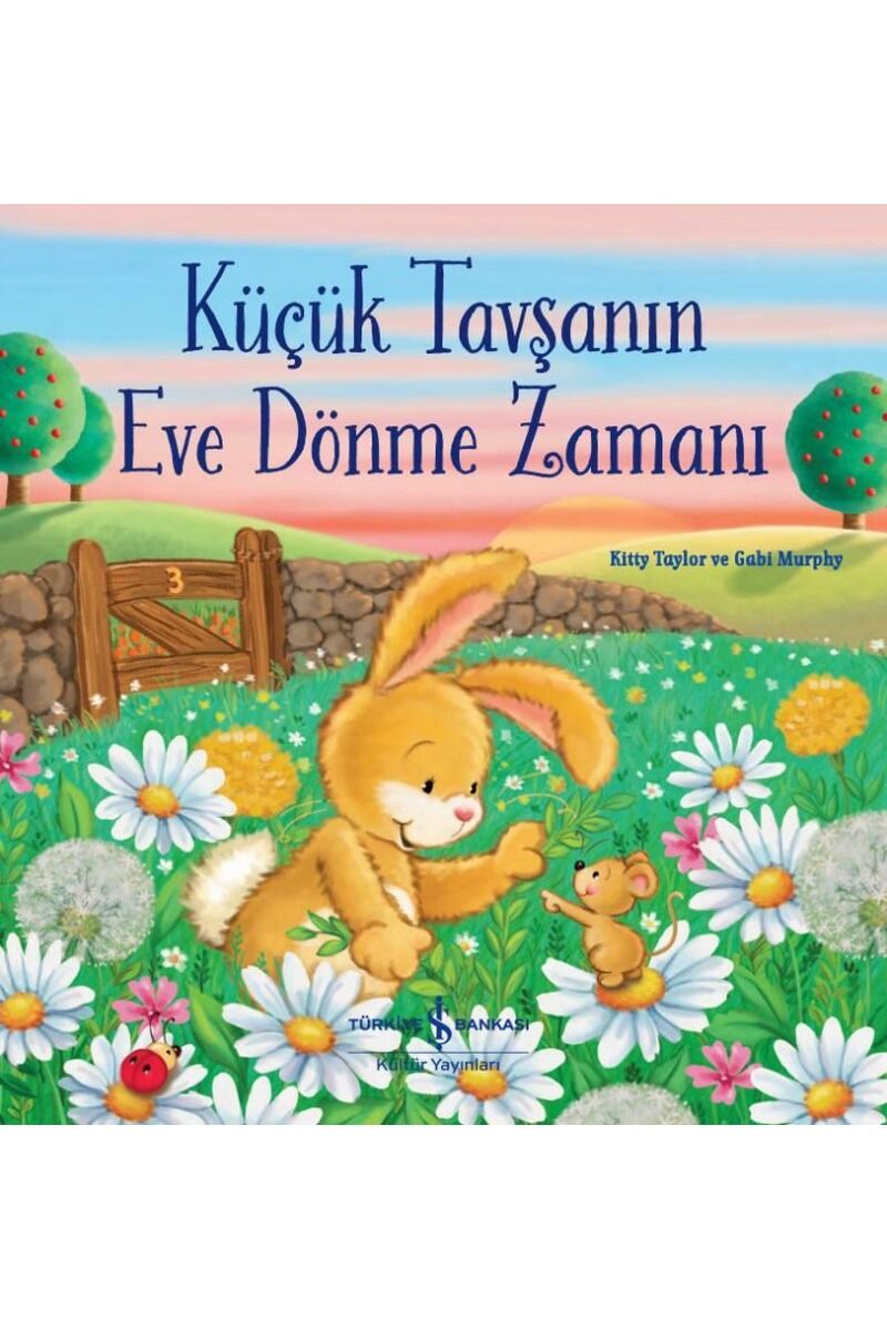 Küçük Tavşanın Eve Dönme Zamanı, Clz - KITTY TAYLOR