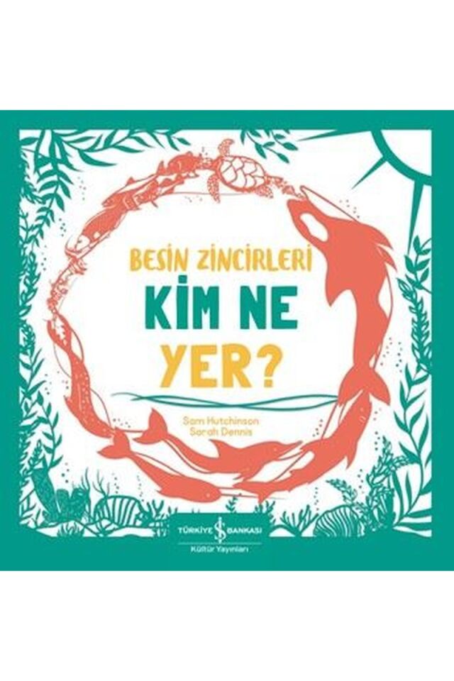Besin Zincirleri Kim Ne Yer?, Clz - SAM HUTCHINSON