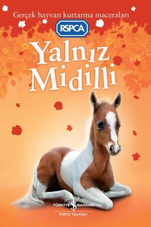 Yalnız Midilli-Gerçek Hayvan Kurtar, Clz - SARAH HAWKINS