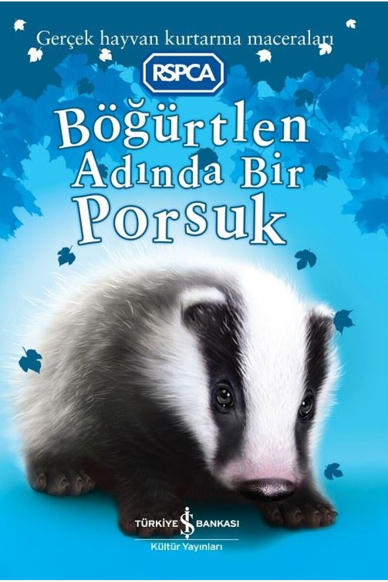 Böğürtlen Adında Bir Porsuk-Gerçek, Clz - SARAH HAWKINS
