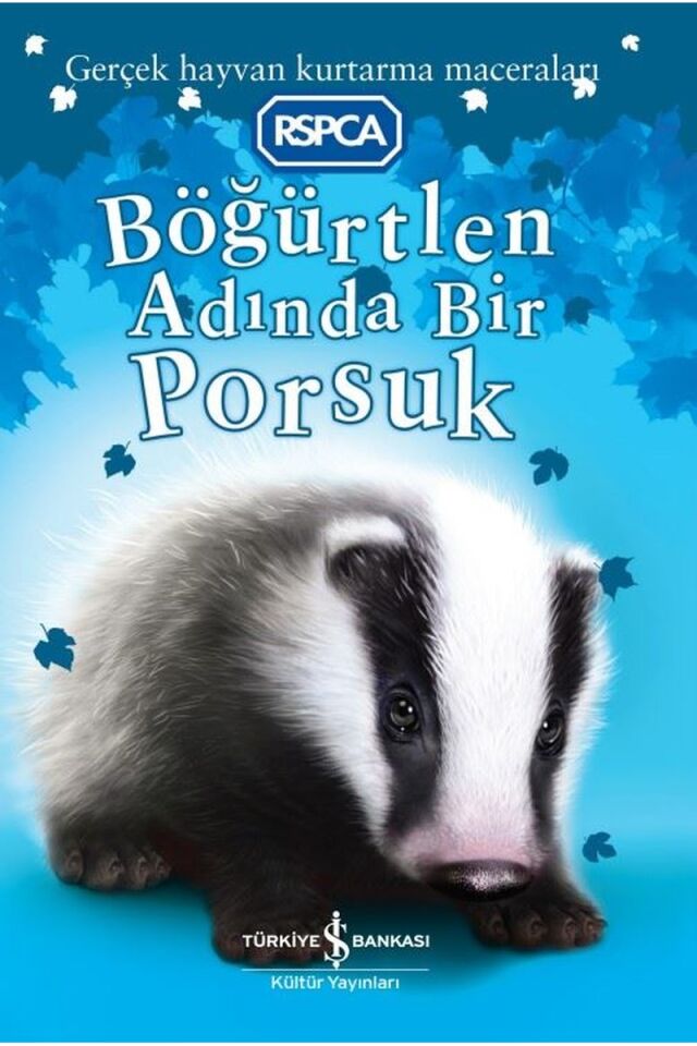 Böğürtlen Adında Bir Porsuk-Gerçek, Clz - SARAH HAWKINS