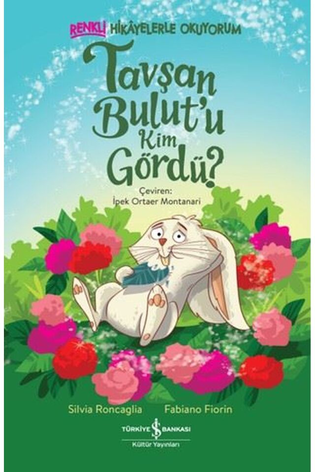 Tavşan Bulut'u Kim Gördü? Renkli Hi, Clz - SILVIA RONCAGLIA
