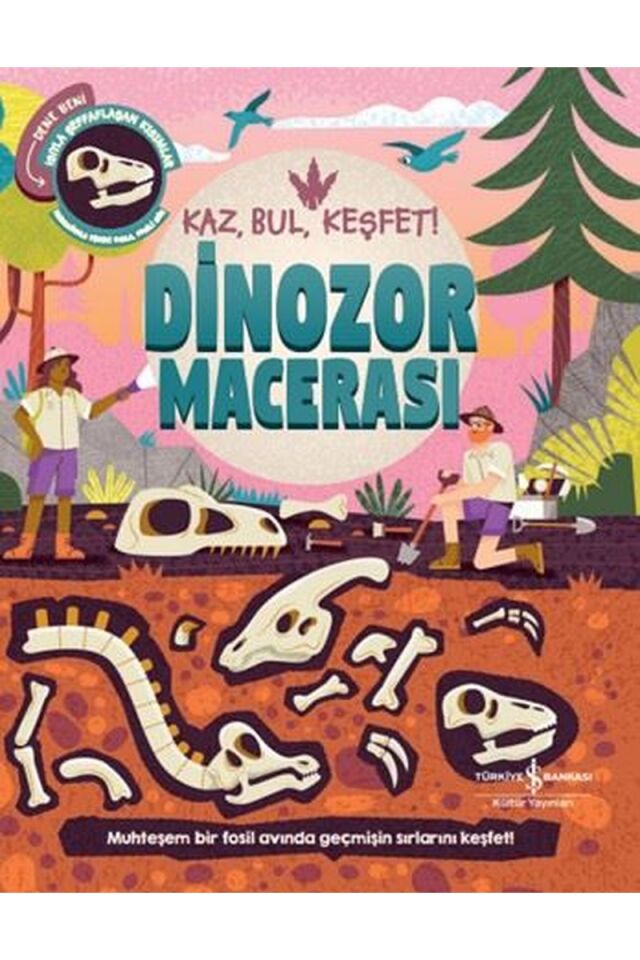 Dinozor Macerası-Kaz, Bul,Keşfet!, Clt - KOLEKTİF