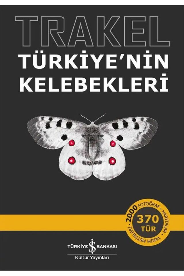 Trakel-Türkiye'nin Kelebekleri, Clz - KOLEKTİF