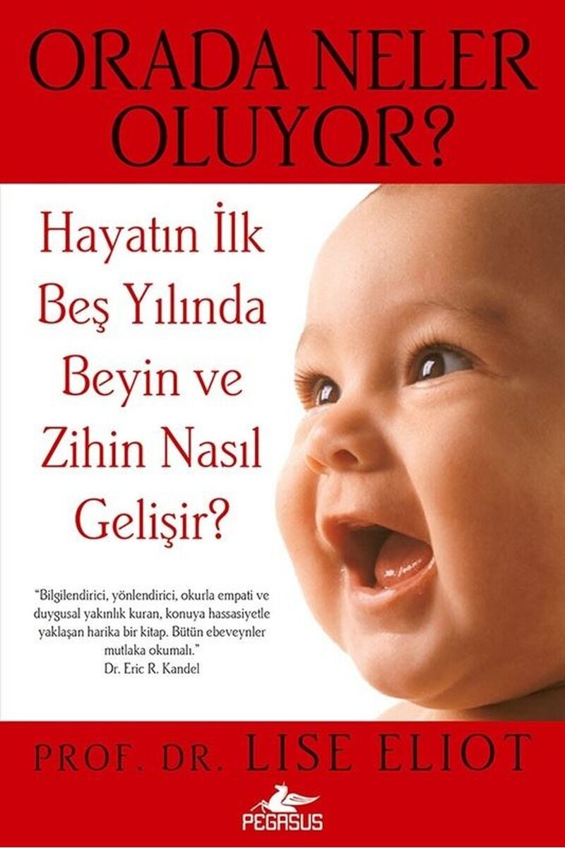 Orada Neler Oluyor? Hayatın İlk Beş, Clz - LISE ELIOT