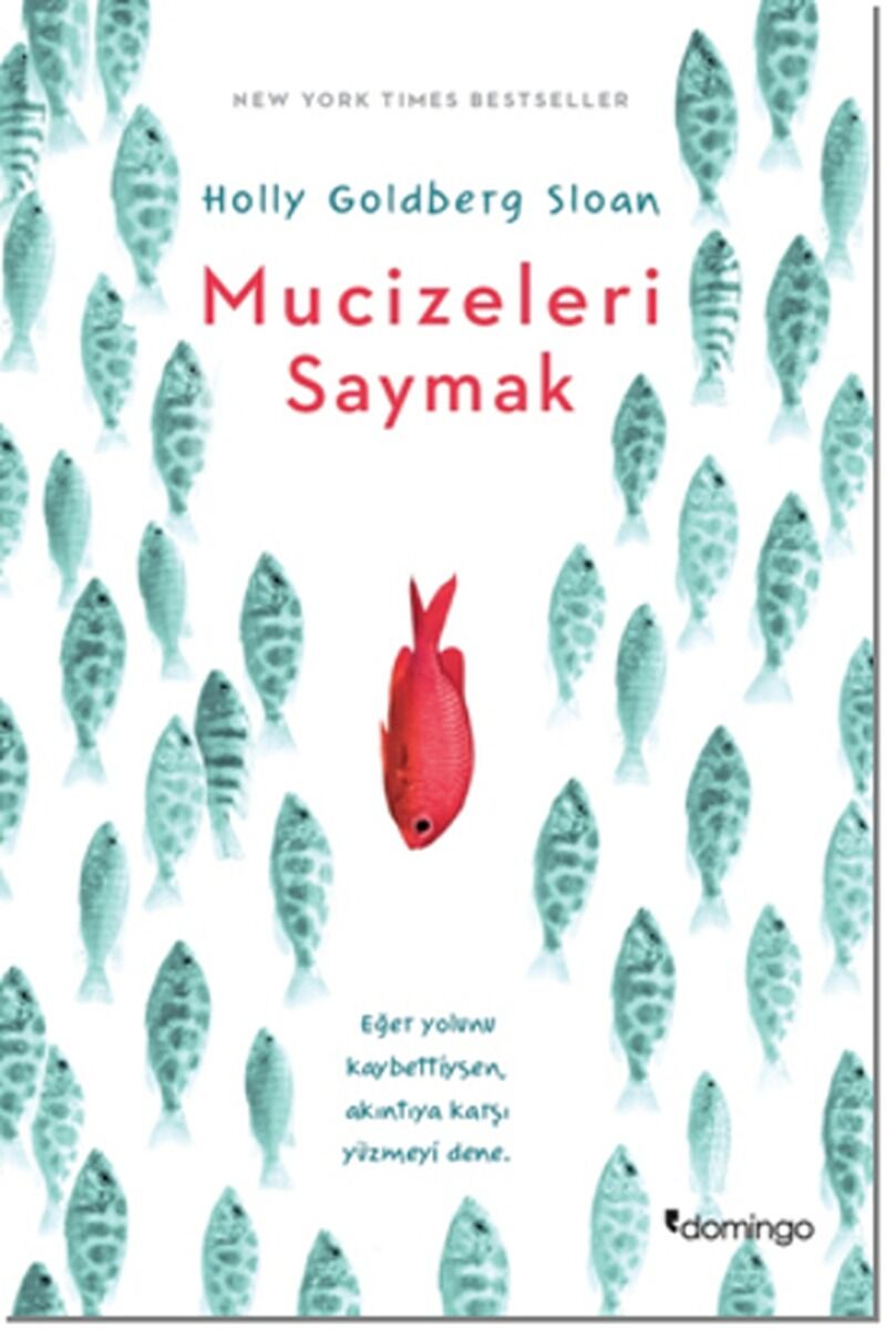 Mucizeleri Saymak, Clz - BAHADIR ERŞIK