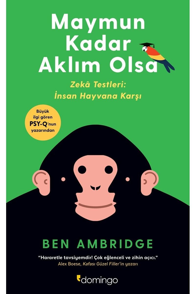 Maymun Kadar Aklım Olsa, Clz - BEN AMBRIDGE