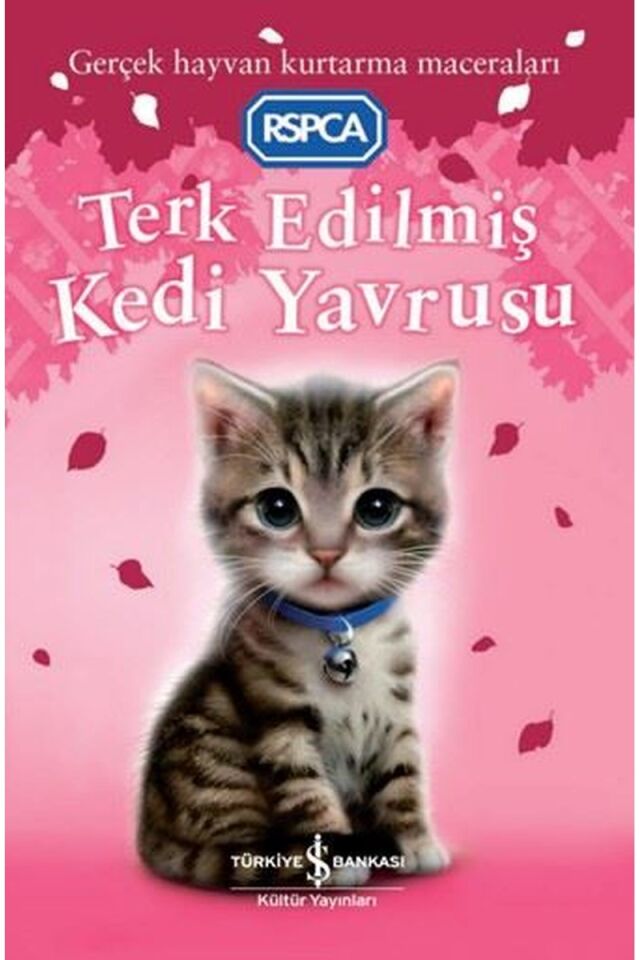 Terk Edilmiş Kedi Yavrusu, Clz - SUE MONGREDIEN