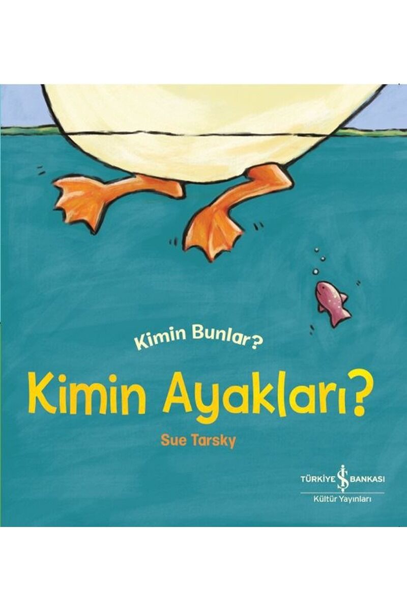 Kimin Ayakları? Kimin Bunlar?, Clz - SUE TARSKY