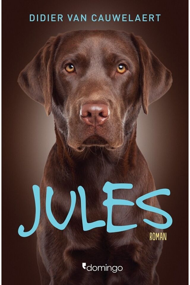 Jules, Clz - DIDIER VAN CAUWELAERT