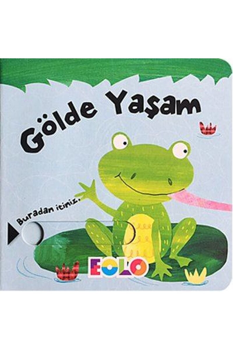 Gölde Yaşam, Clz - KOLEKTIF