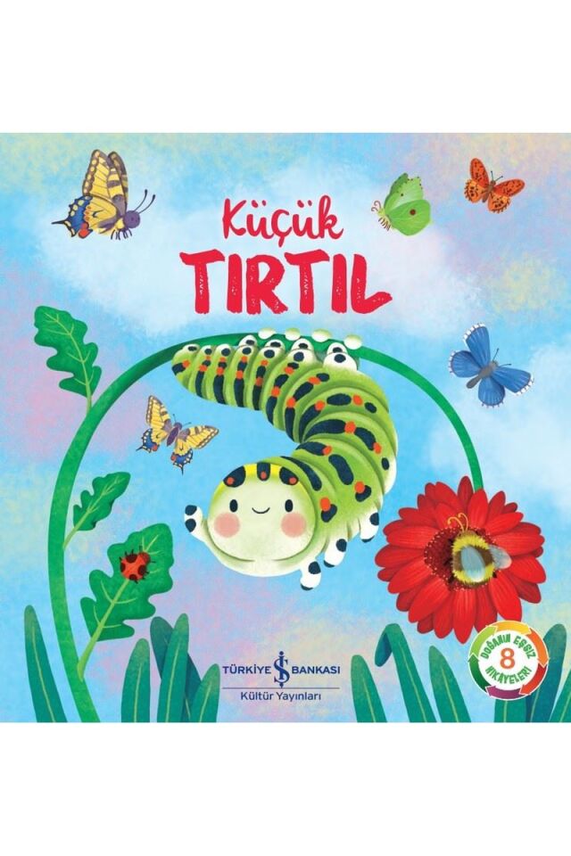 Küçük Tırtıl, Clz - SUZANNE FOSSEY