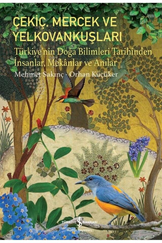 Çekiç, Mercek ve Yelkovankuşları-Tü, Clz - MEHMET SAKINÇ