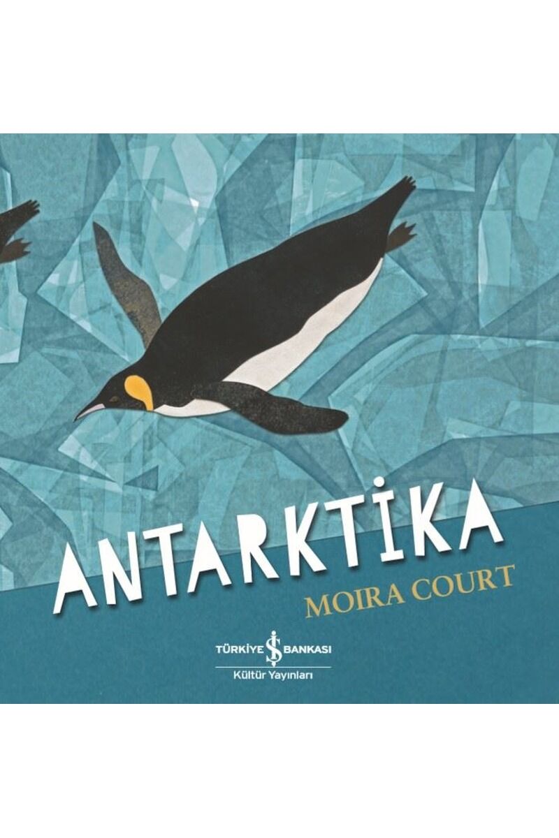 Antarktika, Clz - MOIRA COURT