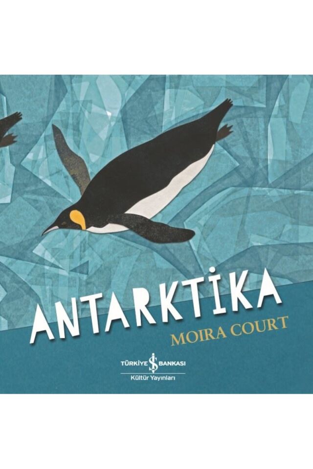 Antarktika, Clz - MOIRA COURT
